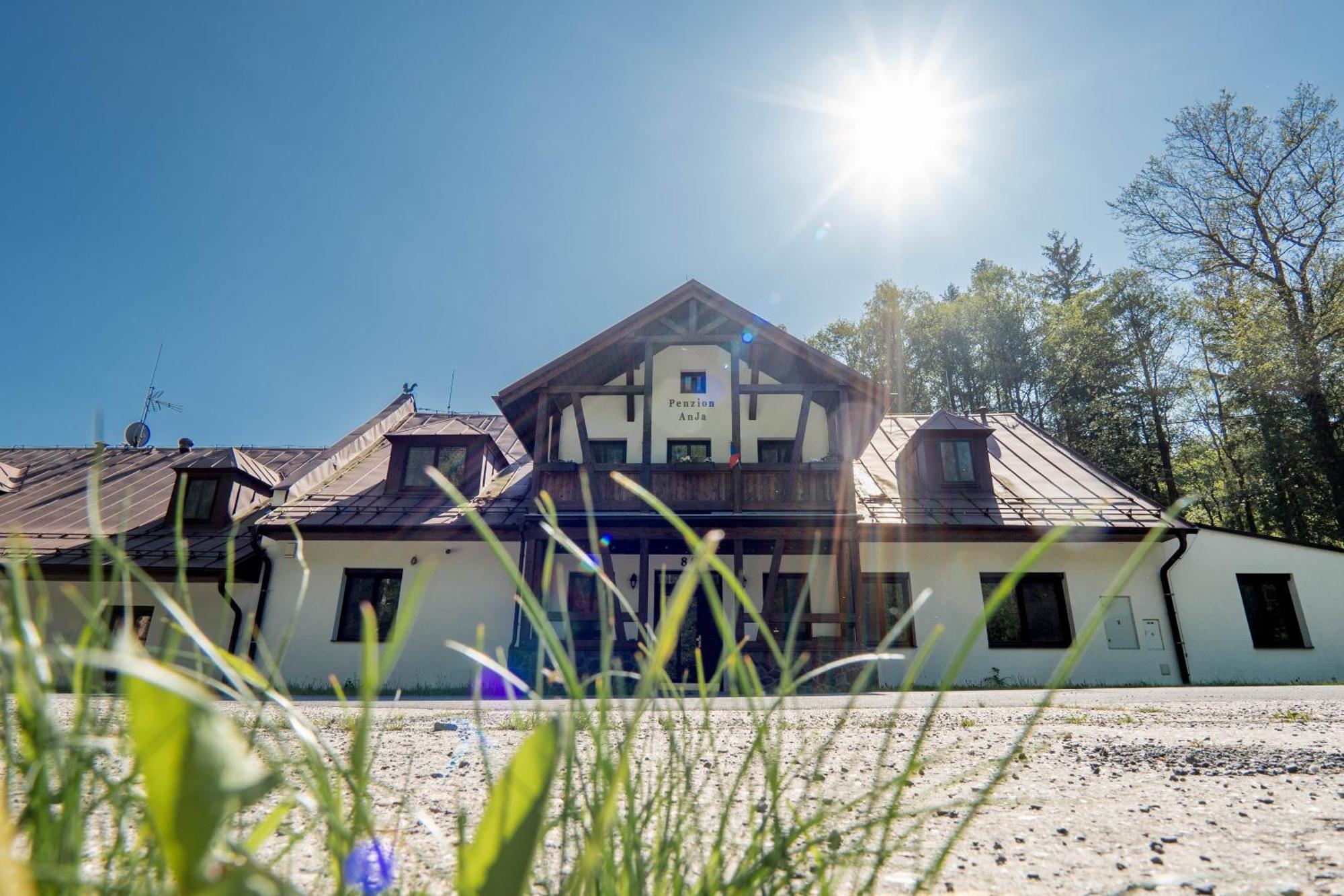 Pension Anja Andelska Hora  Buitenkant foto
